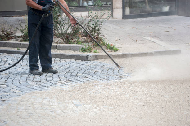 Best Sidewalk and Walkway Cleaning  in Peachtree City, GA